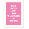 save water and drink champagne print