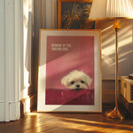 BEWARE OF THE DOG